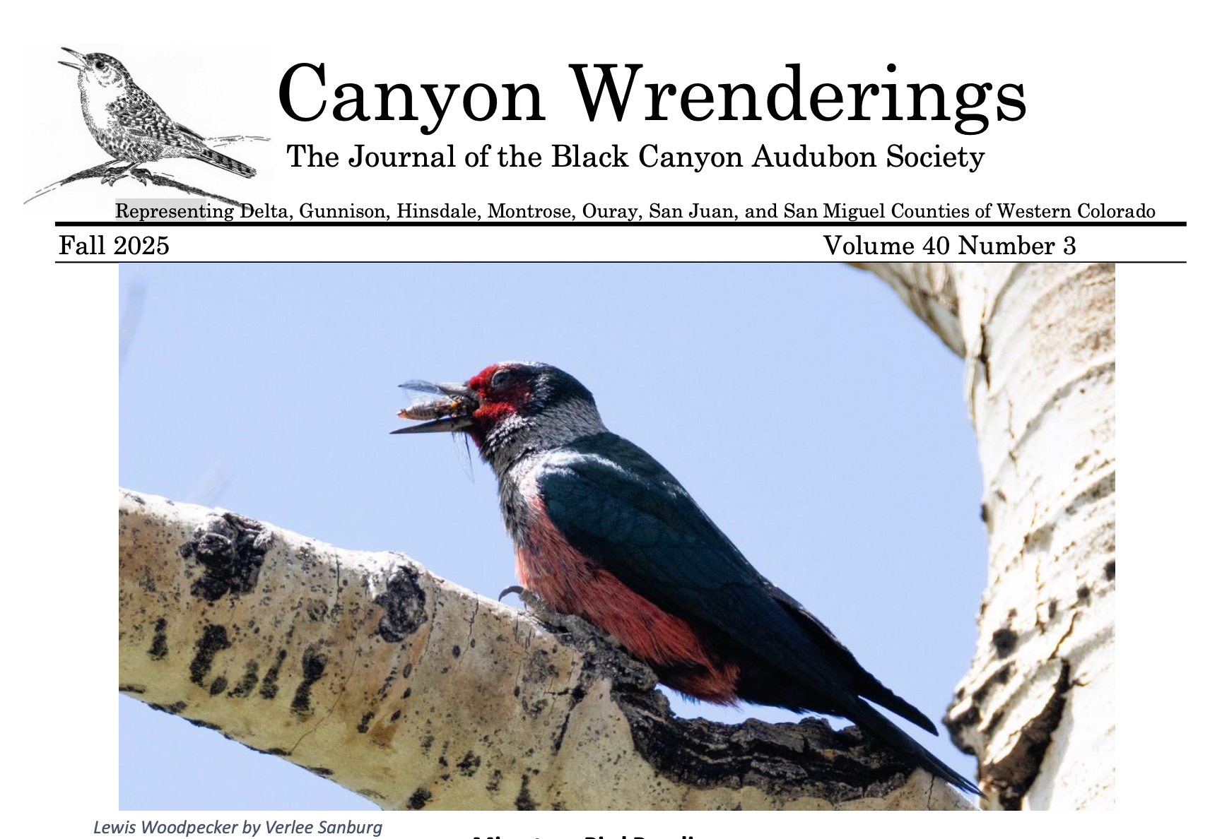 Newsletters